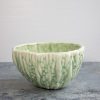 Bitter Gourd Ceramic Bowls