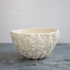 Bitter Gourd Ceramic Bowls